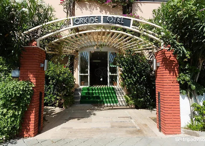 Orkide Otel